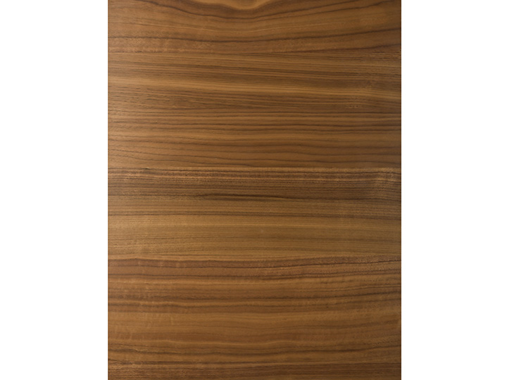 Horizon Walnut Natural Door