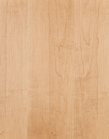 Vista Door